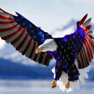 American-Eagle