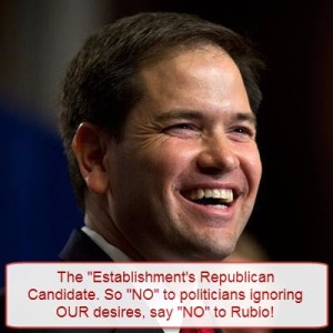 Rubio-Establishments Choice